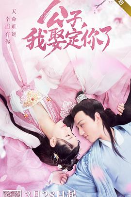 公子，我娶定你了(全集)