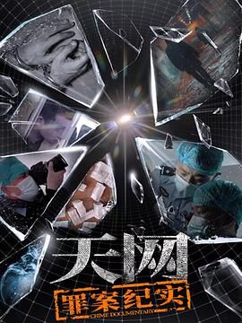 天網(wǎng)：罪案紀實(全集)