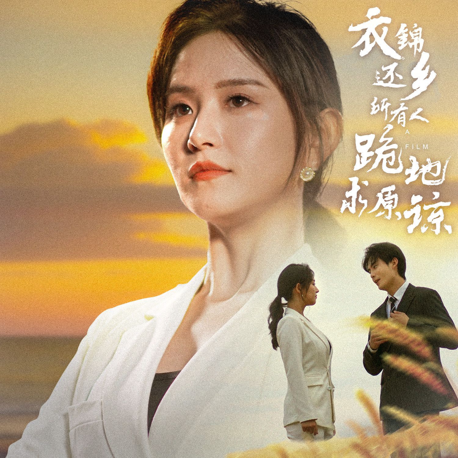 衣錦還鄉(xiāng)，所有人跪地求原諒(全集)