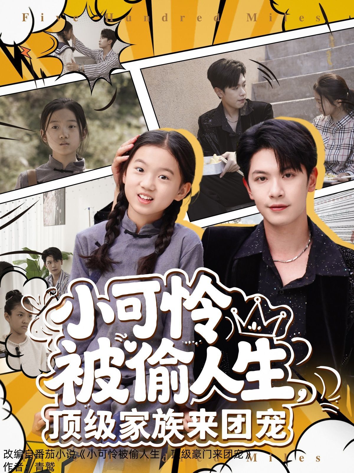 小可憐被偷人生，頂級(jí)家族來團(tuán)寵(全集)