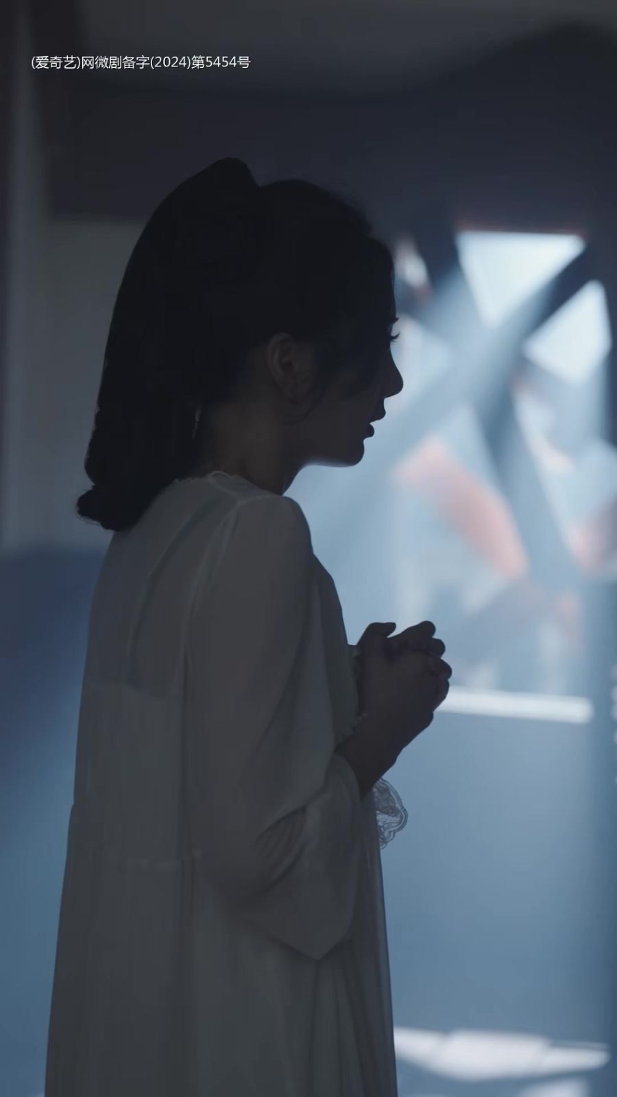督軍熾愛第1-20集