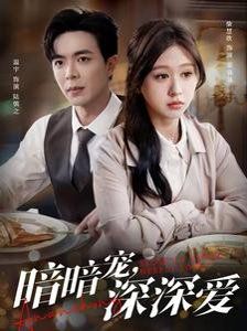 暗暗寵深深愛(ài)(全集)