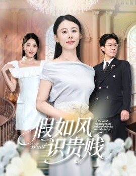 假如風(fēng)識(shí)貴賤(全集)