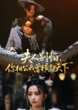 夫人別怕，你相公我曾橫掃天下(全集)