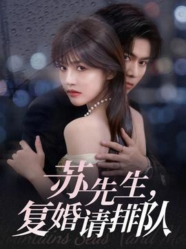 蘇先生，復婚請排隊(全集)