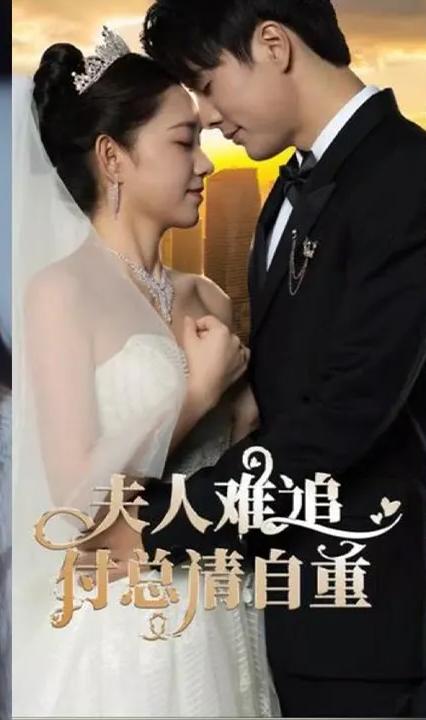 夫人難追，付總請(qǐng)自重(全集)