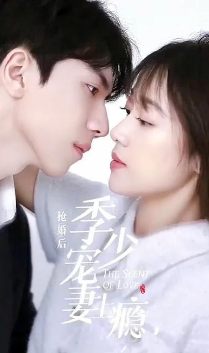 搶婚后，季少寵妻上癮(全集)